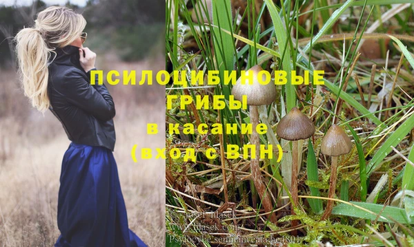 дживик Алзамай